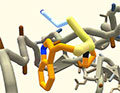 closeup of protein representation in Foldit