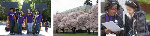 students on campus, cherry trees in bloom