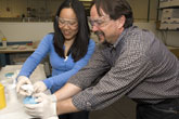 collaboration in the lab