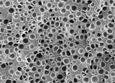 image of PET plastic injected with Co2 from Vipin Kumar's lab Web site