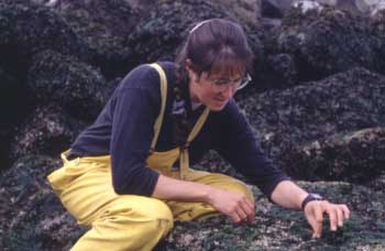 student at beach examining rocks