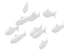 image of fish school
