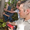 Electrical engineers Babak Parviz and Brian Otis and undergraduate student Carlton Himes (right to left) demonstrate a circuit that runs entirely off tree power.