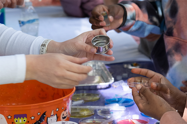 Young students experiencing a Discovery Days booth