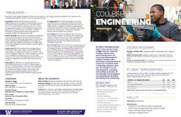 reduced image of the CoE fact sheet