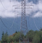 powerlines in a forested valley