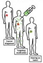 diagram of molecular imaging therapy