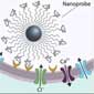 depiction of nanoprobe