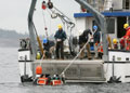 Researchers retrieving equipment from the water