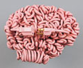 Brain with electrical plug