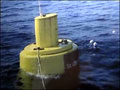 Ocean Power Technologies buoy