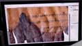 Dead Sea Scrolls