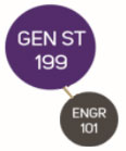 diagram showing that All E-FIGs include the ENGR 101 and GEN ST 199 courses