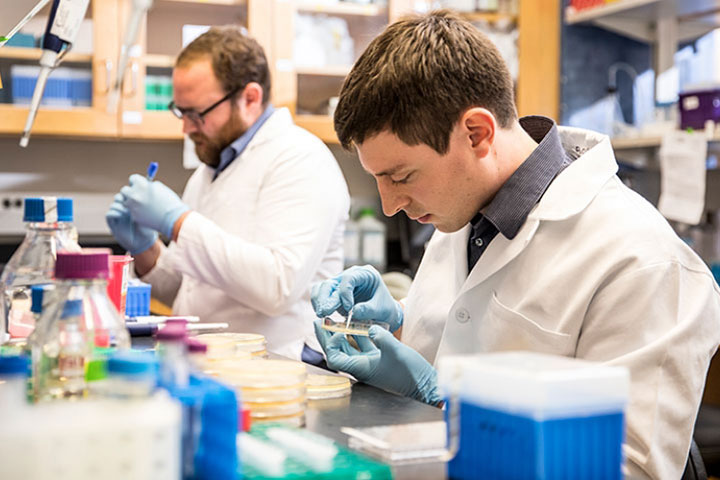 A group of students in a lab