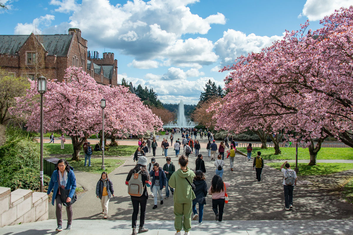Seattle campus in the spring