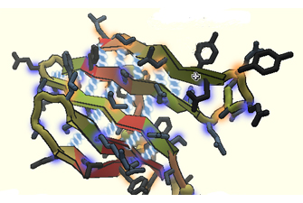 image of a protein