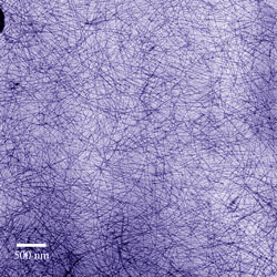 closeup of nanowires