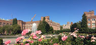 roses and Drumheller fountain on a sunny day