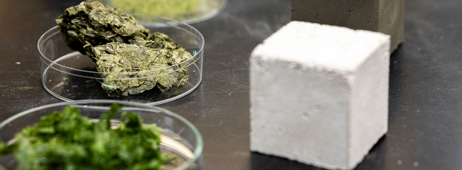Plant-based materials and prototype building blocks displayed in a laboratory
