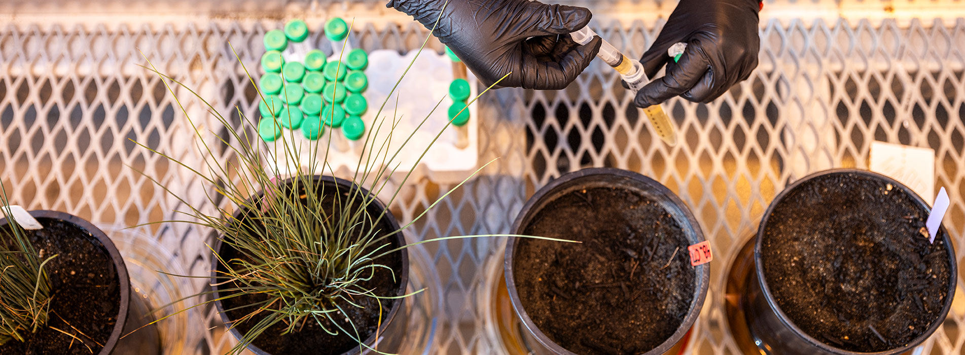 Environmental research involving sample collection and testing to improve water quality