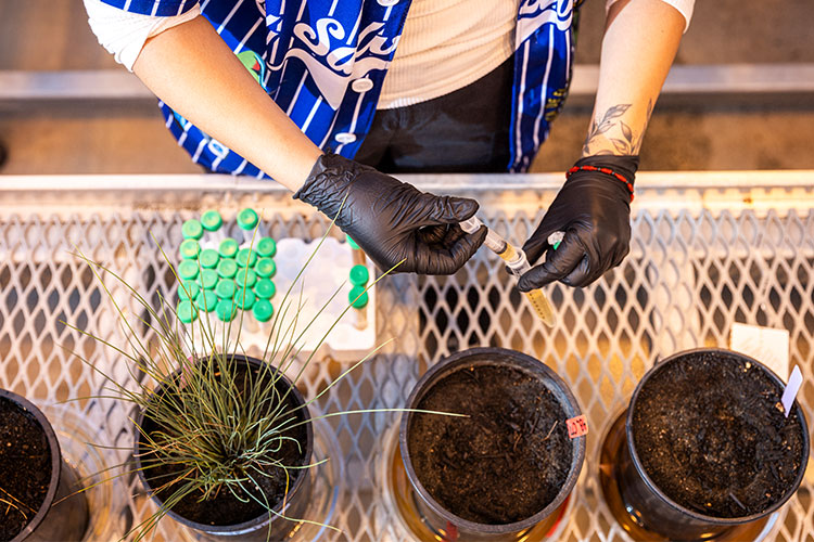 Environmental research involving sample collection and testing to improve water quality