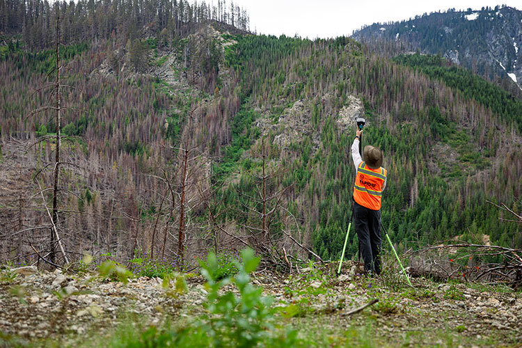 Field researcher using surveying equipment to assess a forested mountain landscape