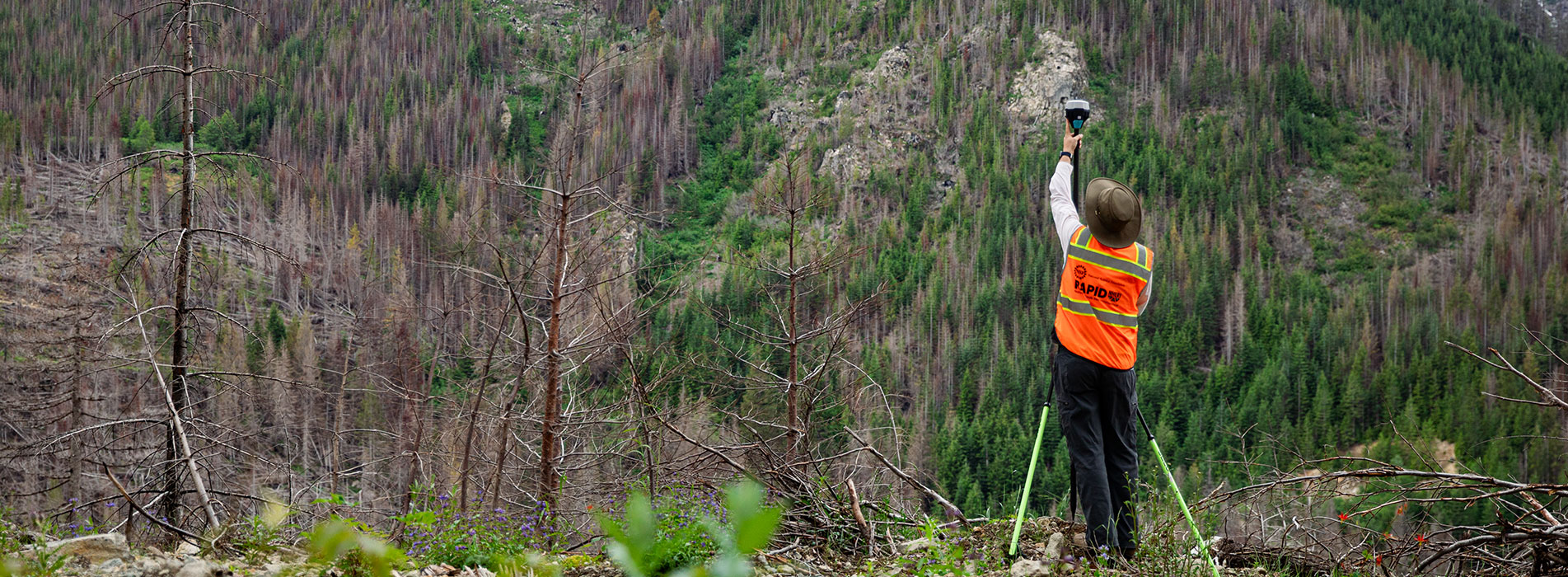 Field researcher using surveying equipment to assess a forested mountain landscape