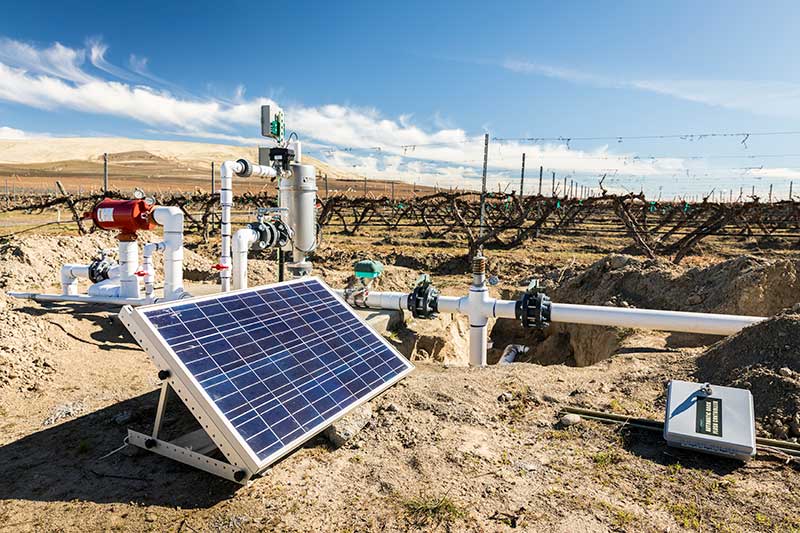 solar panel and pumps in vineyard