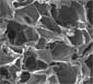 biodegradable scaffold for stem cells