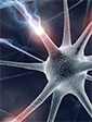 An artists concept of brain cell-to-cell signaling