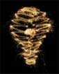 light bulb portion of biz plan competition graphic