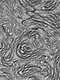 magnified view of web-like, gel structure