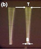 The artificial cilia are flexible rubber fingers less than 1/100 of an inch long, and 1/1000 of an inch wide. The tips shown here vibrate 65 times per second.