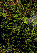 Mapping in Nepal by OpenStreetMap communityMapbox, flickr CC 2.0