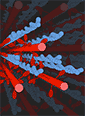 excerpt of C. David Williams' 3-D computer model of muscle filaments during contraction