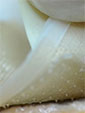 microneedle patch