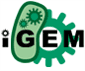 iGEM logo