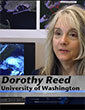 Dorothy Reed discussing urban infrastructure vulnerabilities in events like Hurricane Sandy