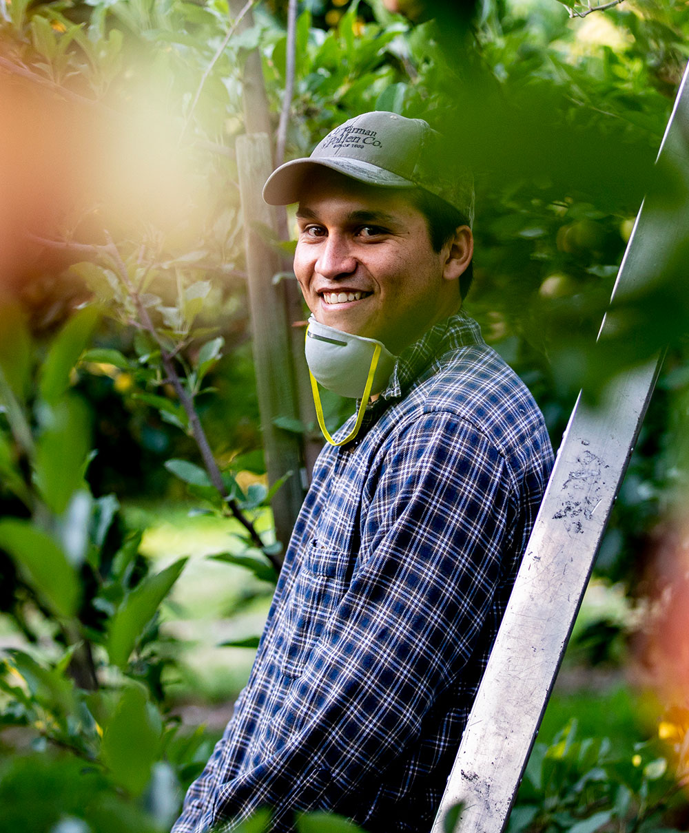 Student leaning against a ladder in an orchard