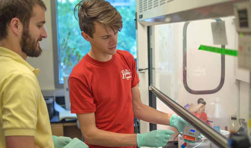 Students at work in a lab