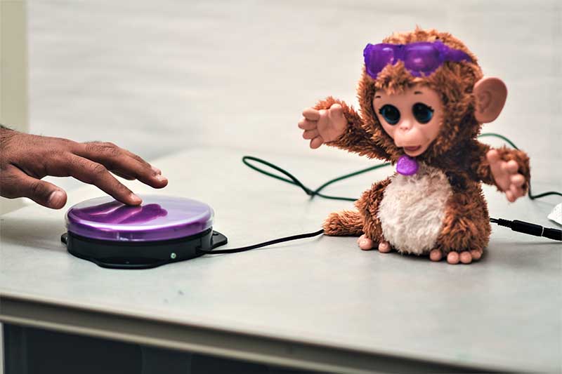 photo of toy monkey attached to button