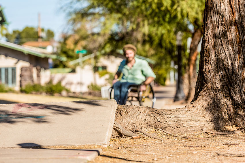 a person in wheelchair facing a sidewalk that's uneven due to tree roots