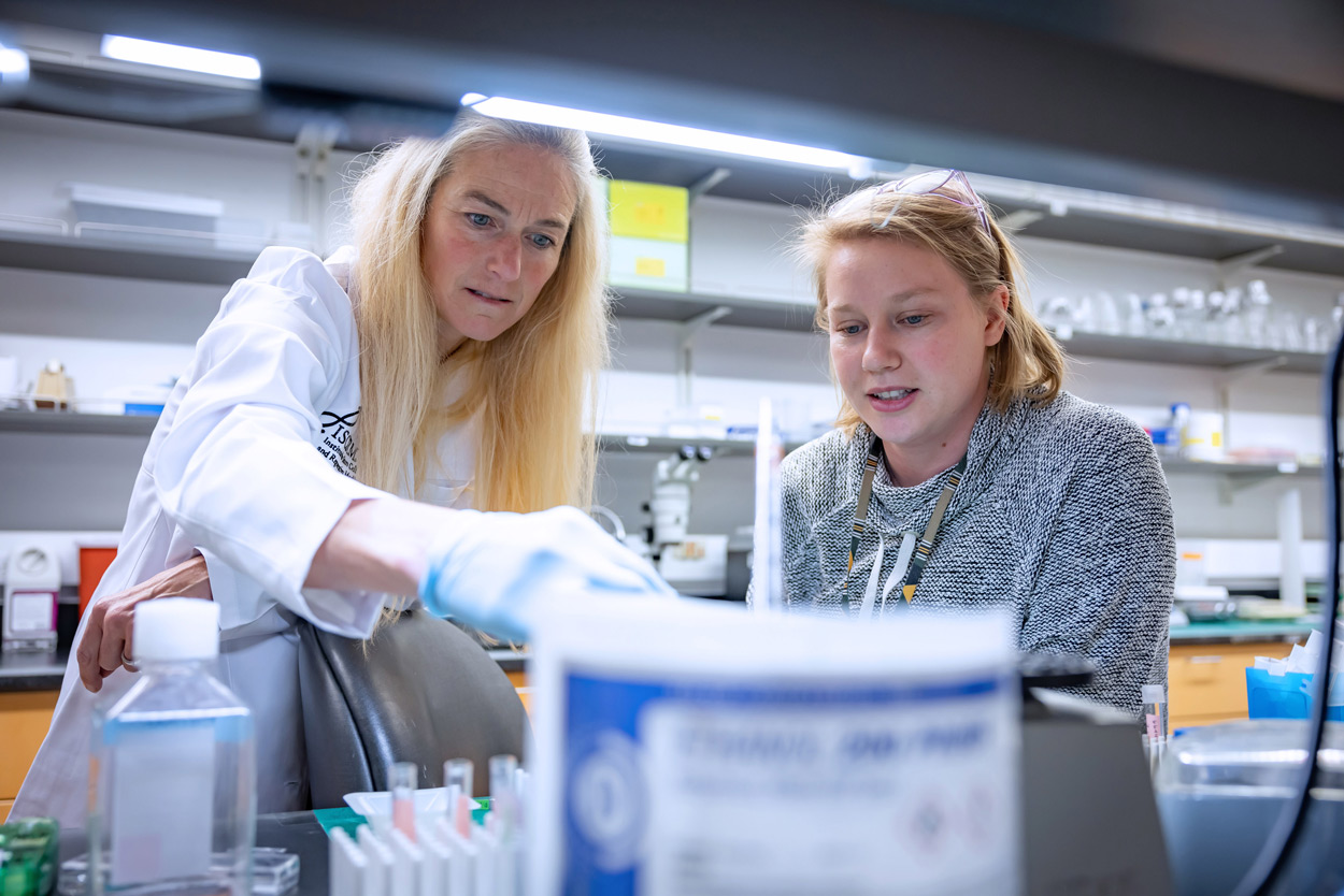 Two researchers at a lab working with vials
