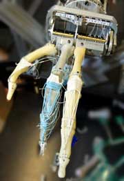 photo, robotic fingers