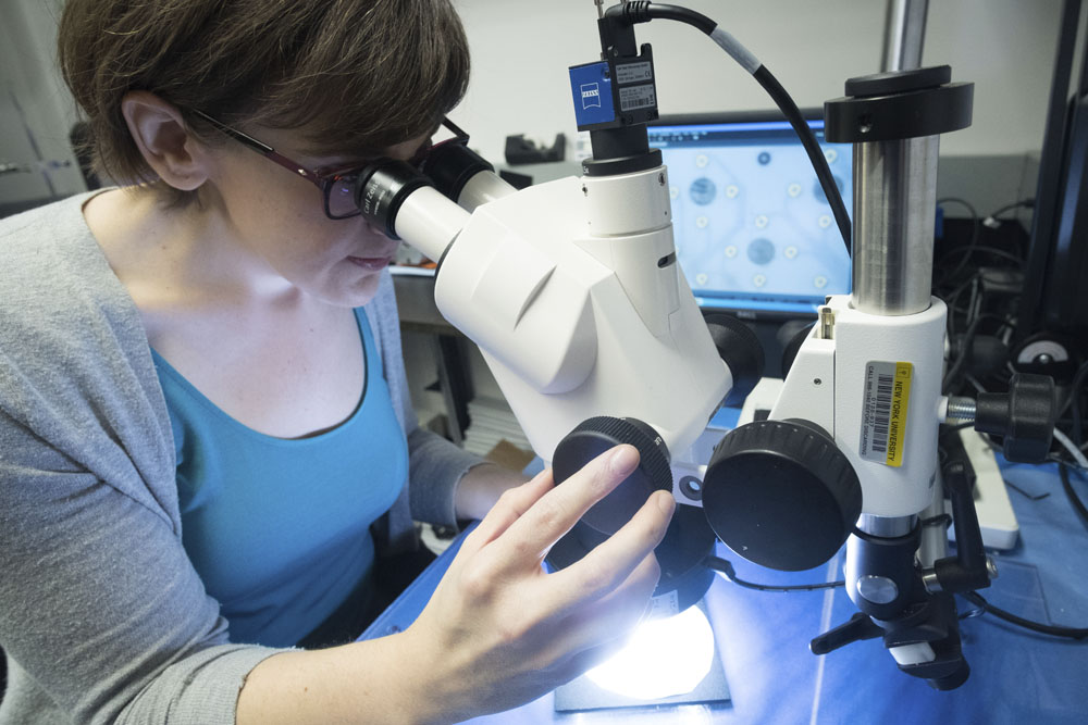 Amy Obsorn using a microscope