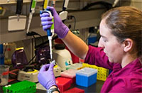 Lee Organick, a UW computer science and engineering research scientist, mixes DNA samples for storage