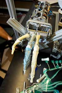 close-up of a robotic hand