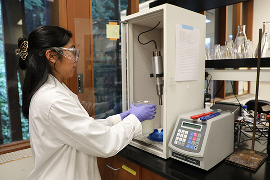 Student working in a lab