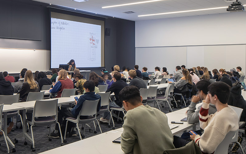 Students learning in classroom