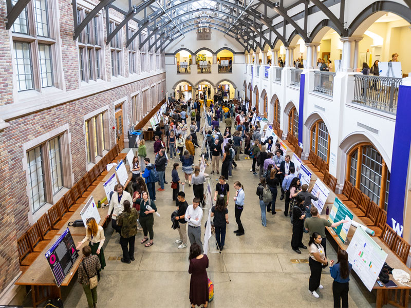 Poster presentations at undergraduate research symposium